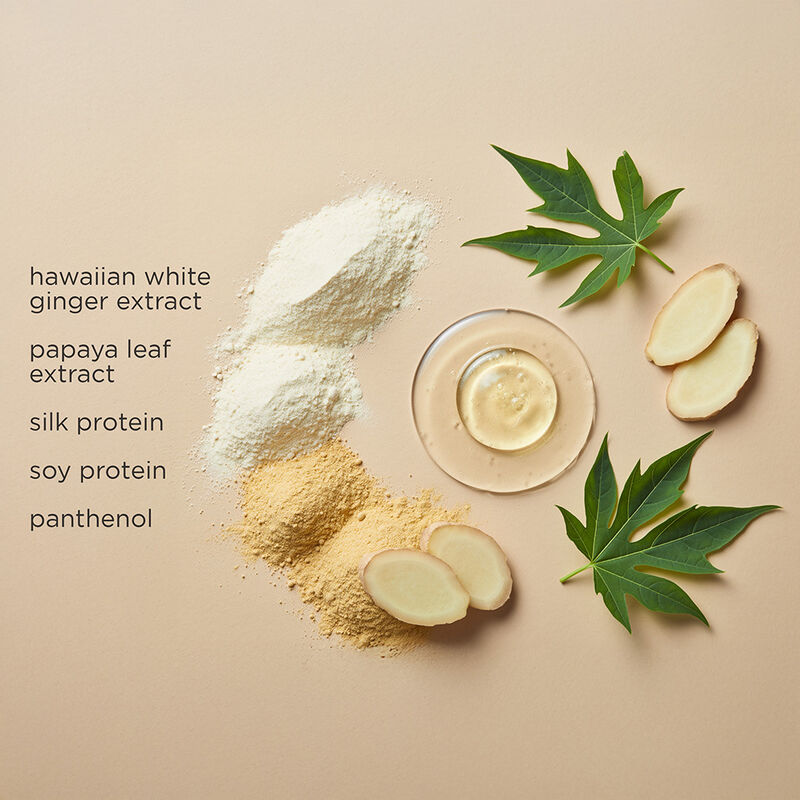 BioSilk For Dogs Whitening Shampoo, , large image number null